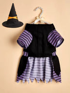 Pet Halloween costume with black top, striped skirt, and witch hat on a beige background