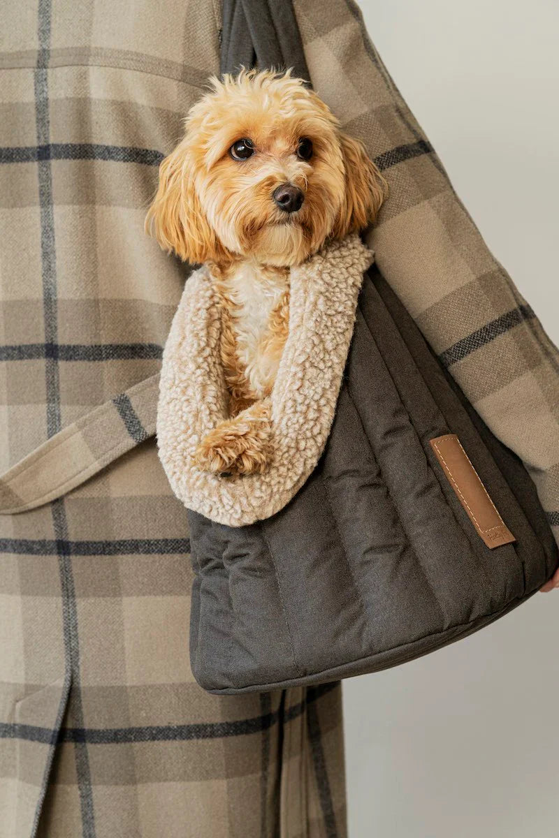 Small dog in a fluffy grey bag held by a person wearing a plaid coat.