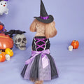 Dog in a Halloween witch costume with pumpkins and skulls on a purple background