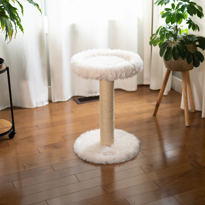 Cat tree with white cushioned top and sisal-covered post on a wooden floor.