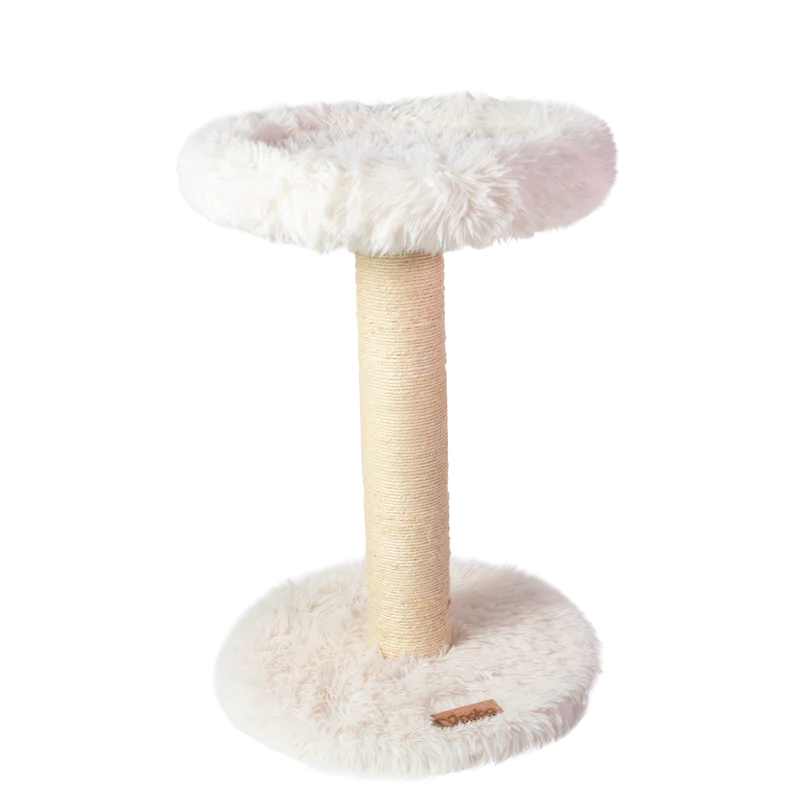 Cat tree with fluffy white top and base on a white background