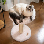 Cat sitting on a fluffy white cat tree indoors.