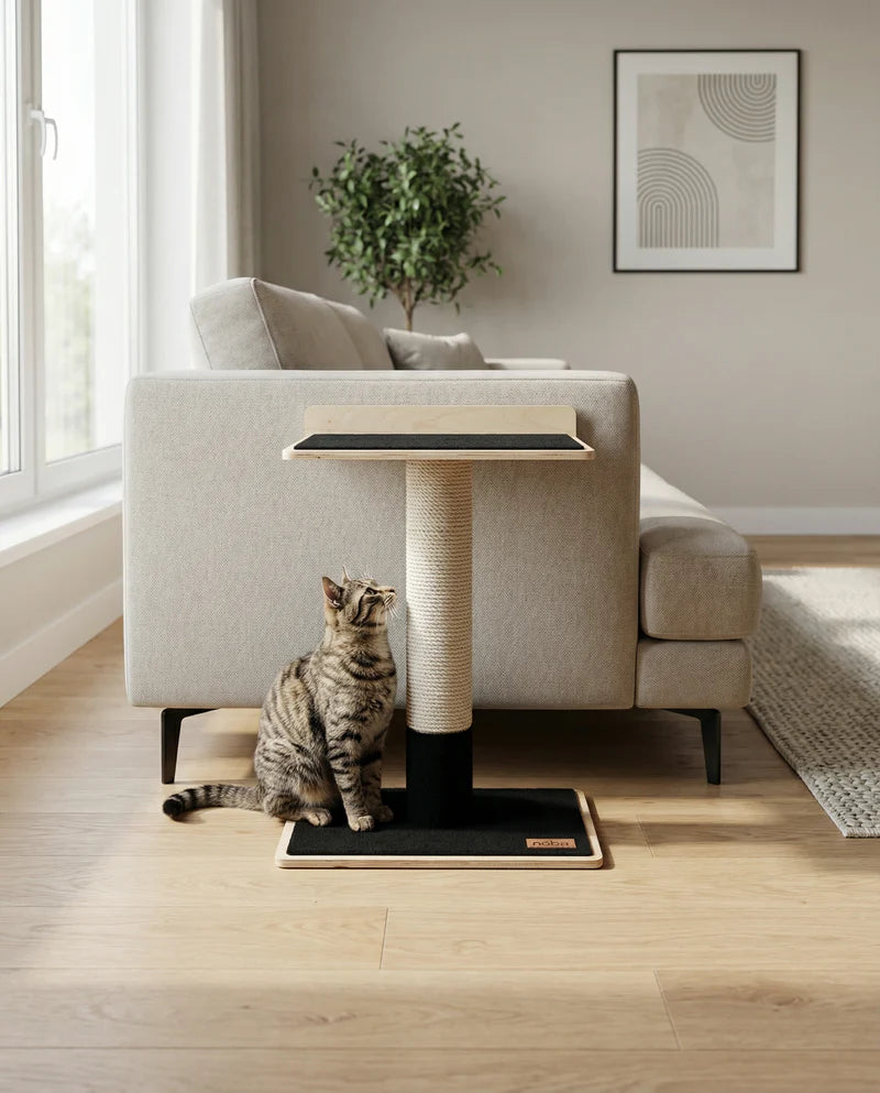 Cat using a modern cat tree in a living room with a couch and plant in the background.