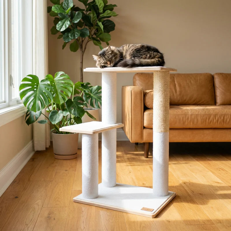 Cat lounging on a white cat tree in a living room with plants and a couch.