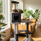 Cat resting on a cat tree in a sunlit living room with plants and a couch.
