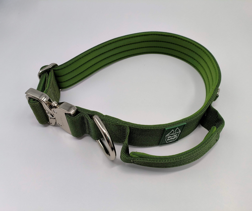 Green dog collar with metal buckle on a white background