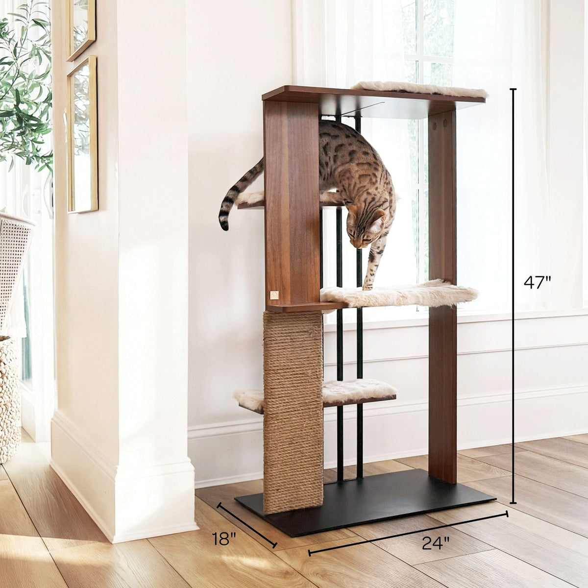 Cat climbing a wooden cat tree with dimensions labeled in a home setting