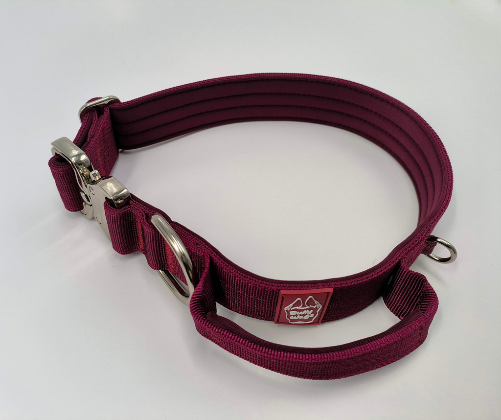 Cherry Wine dog collar with metal clasp on a white background