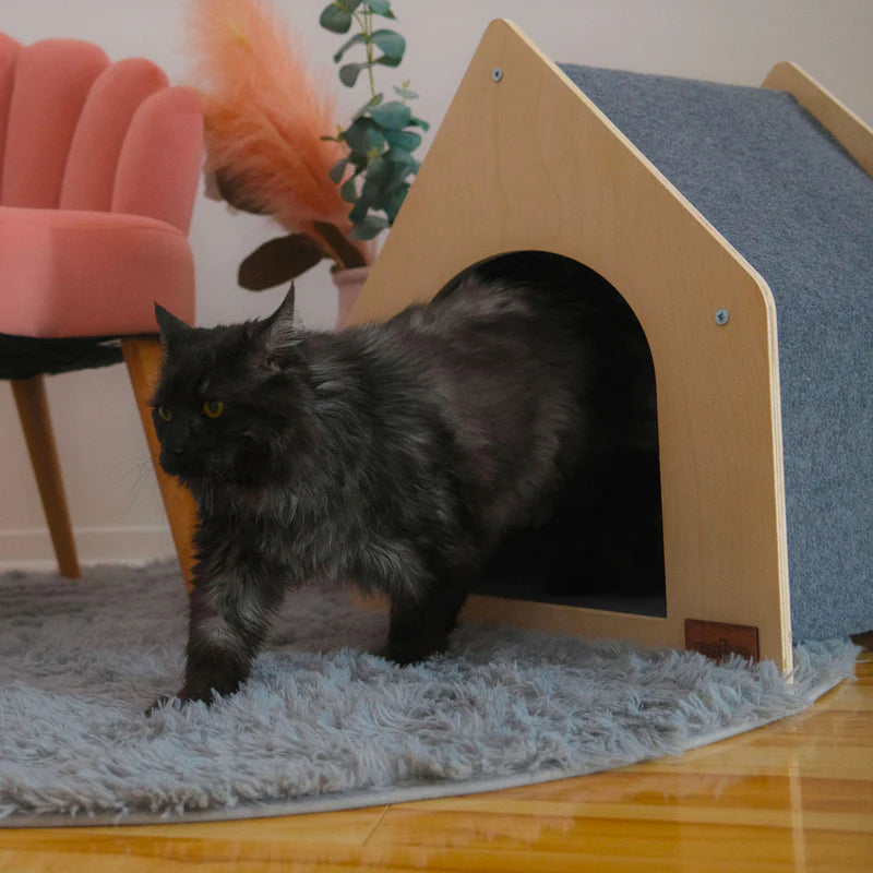 Cat standing next to a wooden cat house on a rug with a pink chair and plant in the background.