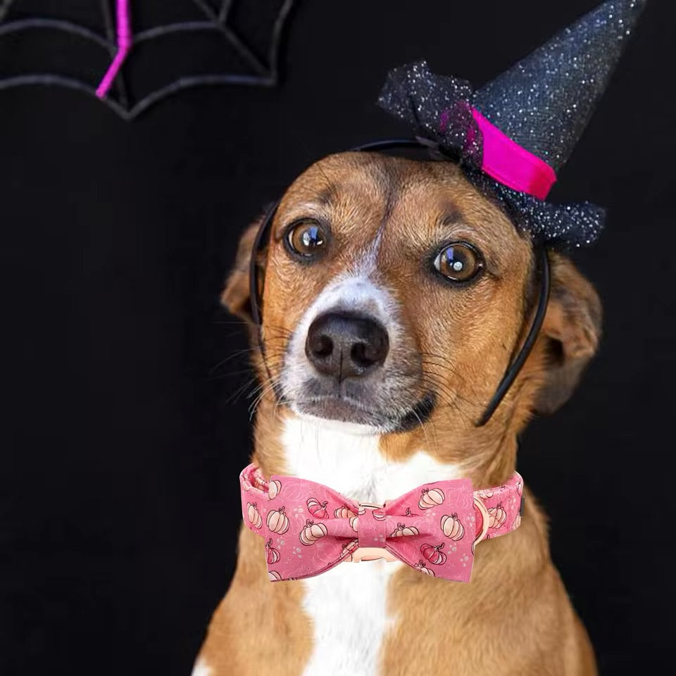 Dog wearing a Halloween-themed witch hat and pink bow tie against a black background with spider webs.