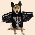 Dog wearing a bat-themed costume with skeleton design and heart emblem on a beige background