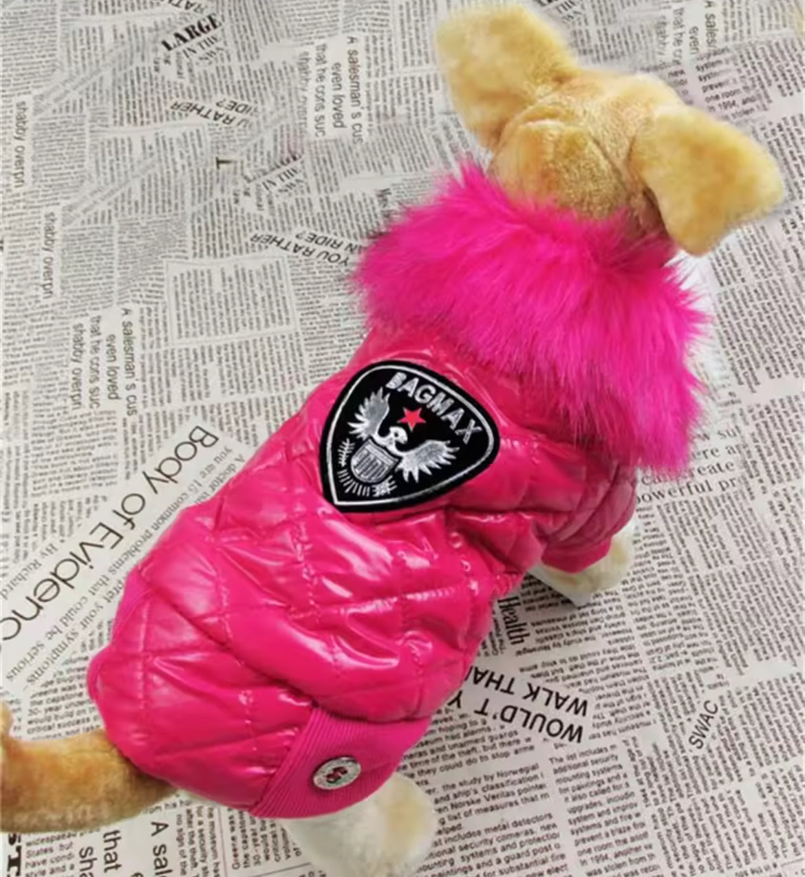 Dog wearing a pink puffer jacket with a fluffy hood on a newspaper background