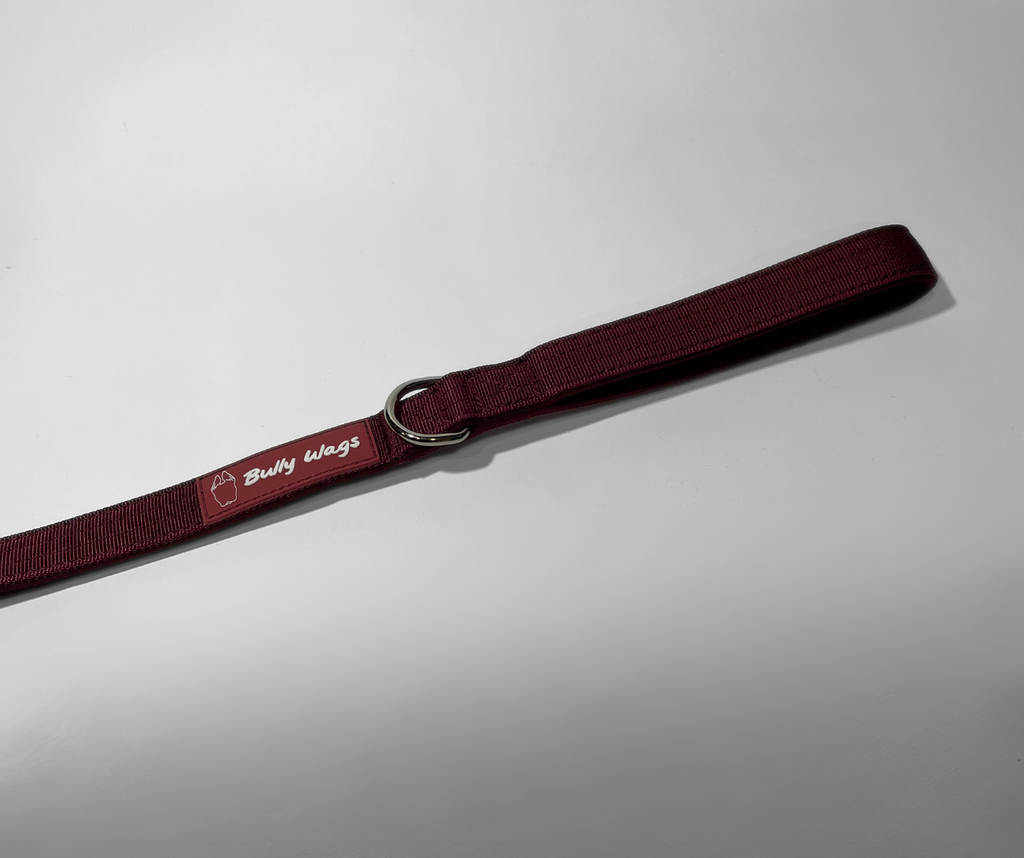 Maroon dog leash with a silver ring on a light gray background