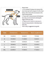 Dog size chart with measurements for chest, neck, and back length on a white background.