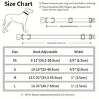 Dog collar size chart with measurements and illustrations