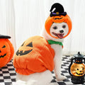 Dog in a pumpkin costume on a checkered floor with Halloween decorations.