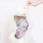 Dog wearing a gray puffer coat with a fur-lined hood on a white background