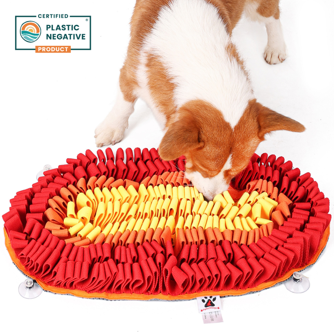 Dog playing with a red and yellow snuffle mat on a white background