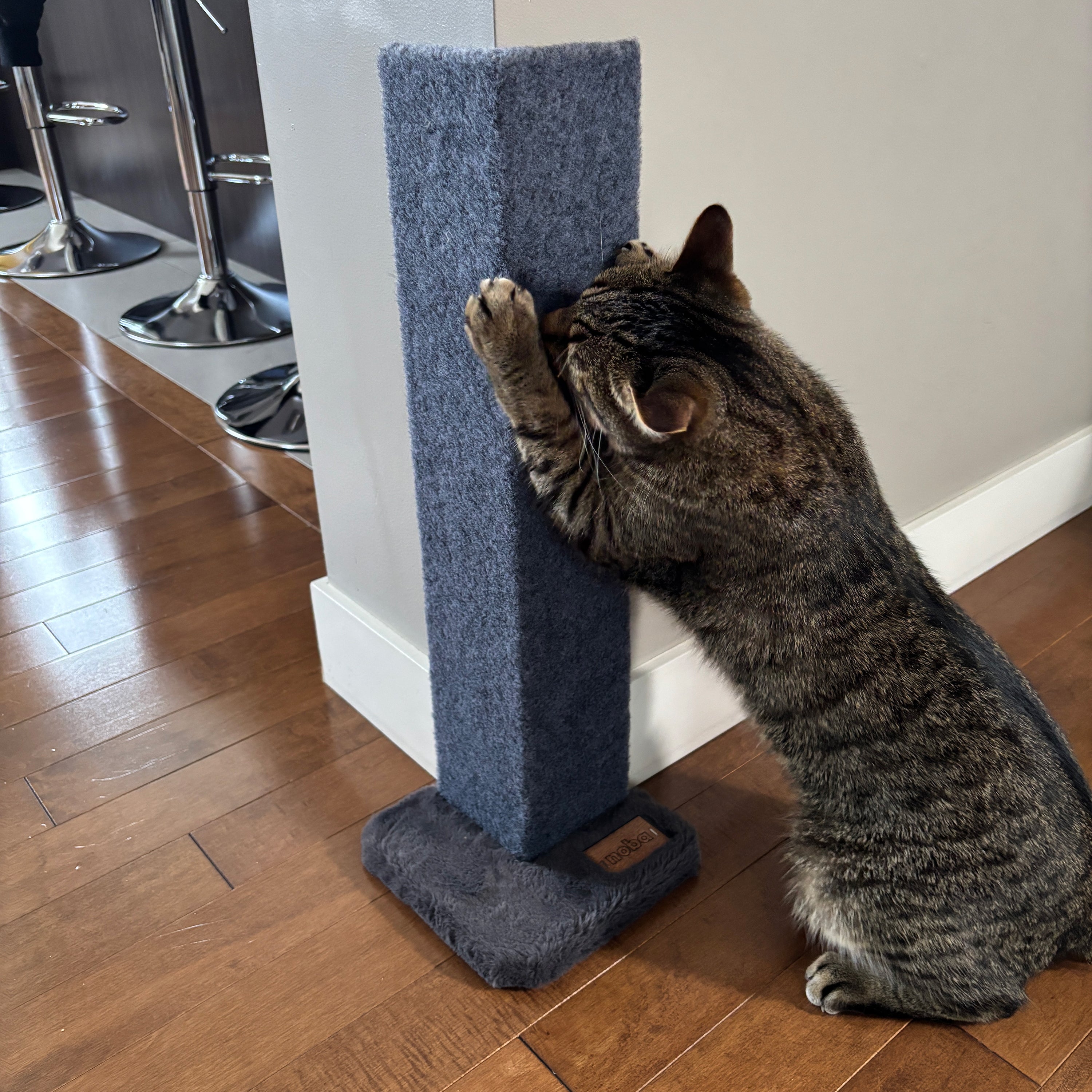 Cat scratching a blue cat scratching post on a wooden floor.