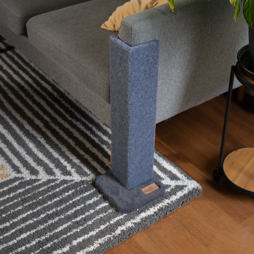 Cat scratching post against a gray sofa on a striped rug