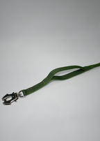 Cactus Green dog leash with a metal clip on a gray background