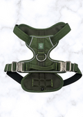 Green dog harness on a white background