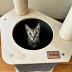 Cat peeking out from a wooden cat bed with 'noba' branding