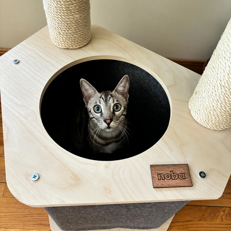 Cat peeking out from a wooden cat bed with 'noba' branding