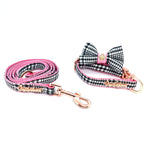 Dog leash and bow tie set on a white background