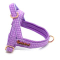 Purple pet harness with gold hardware on a white background