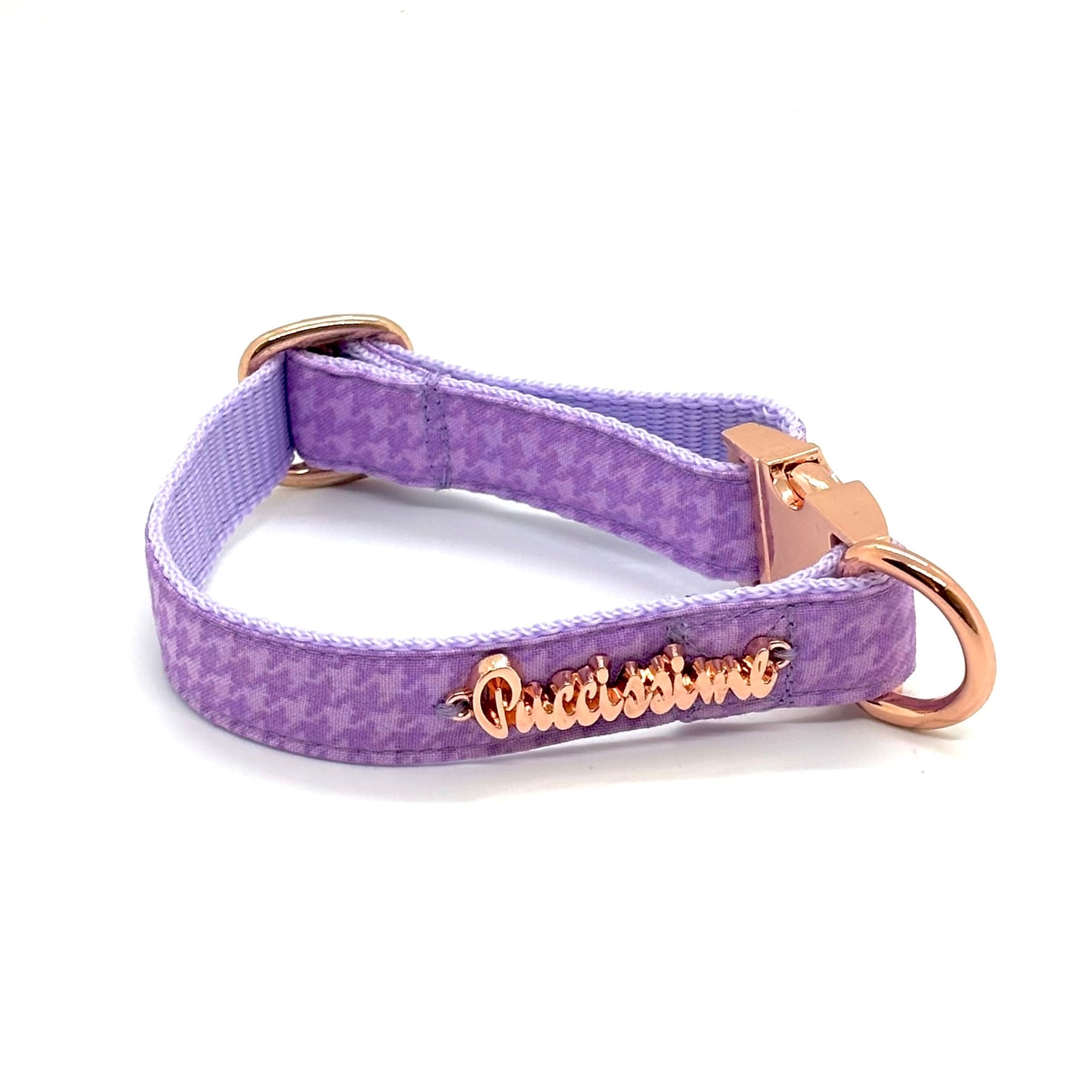 Purple dog collar with gold 'Puccissime' embellishment on a white background