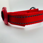 Red dog collar with black stitching on a white background