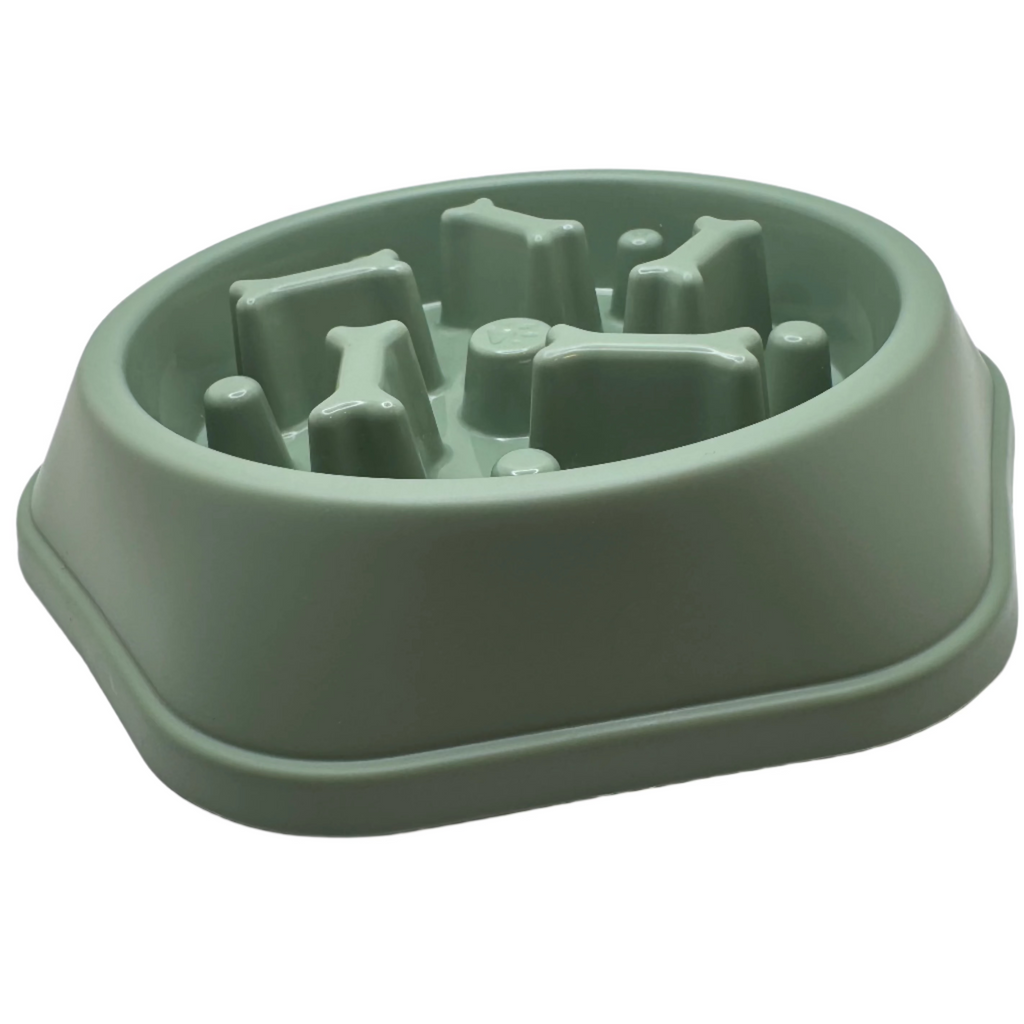 Green slow feeder bowl for pets on a white background