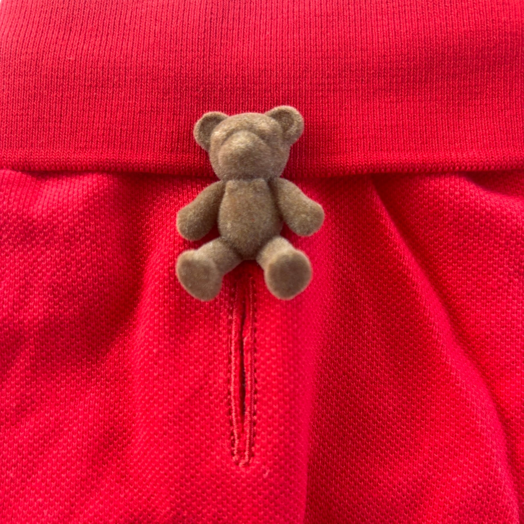 Small brown teddy bear attached to a red dog polo shirt