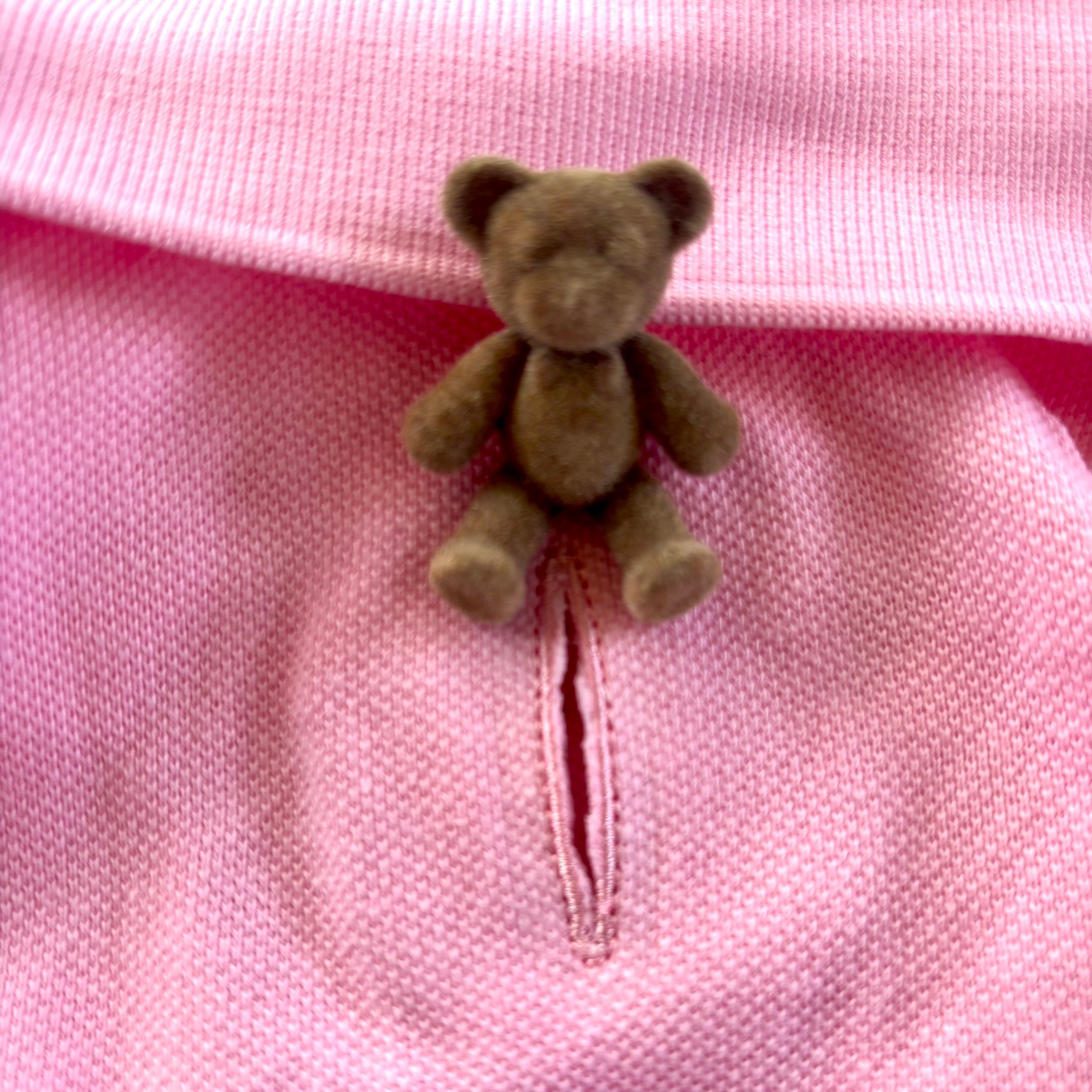 Small brown teddy bear on a pink fabric background