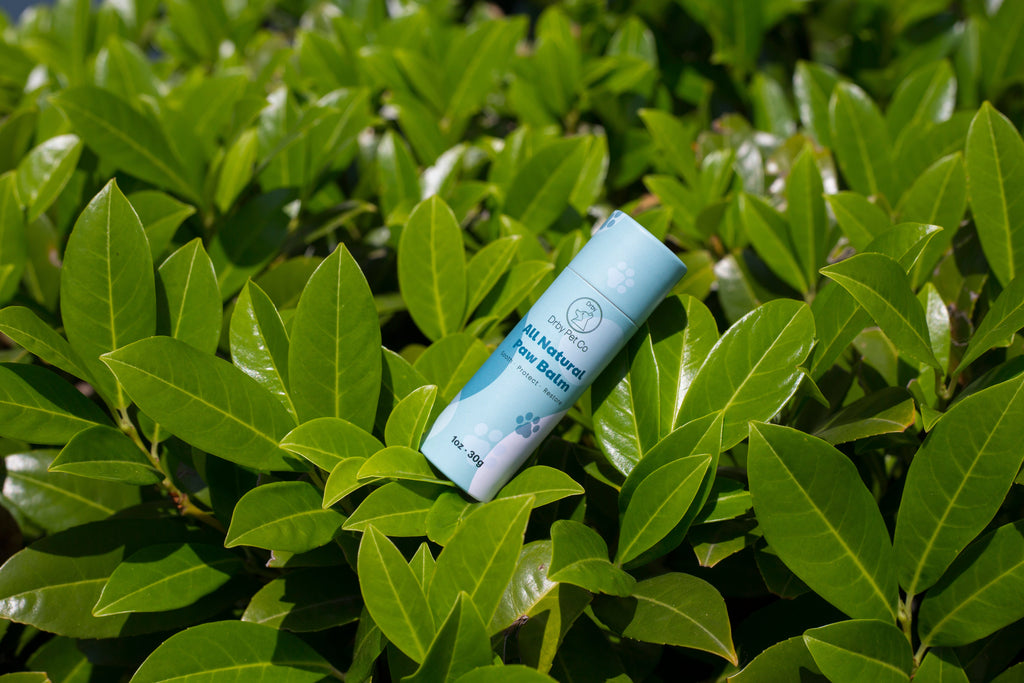 Paw balm tube with green leaves