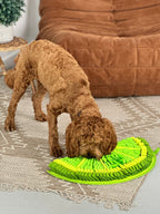 Dog interacting with a green and yellow snuffle mat on a carpeted floor.