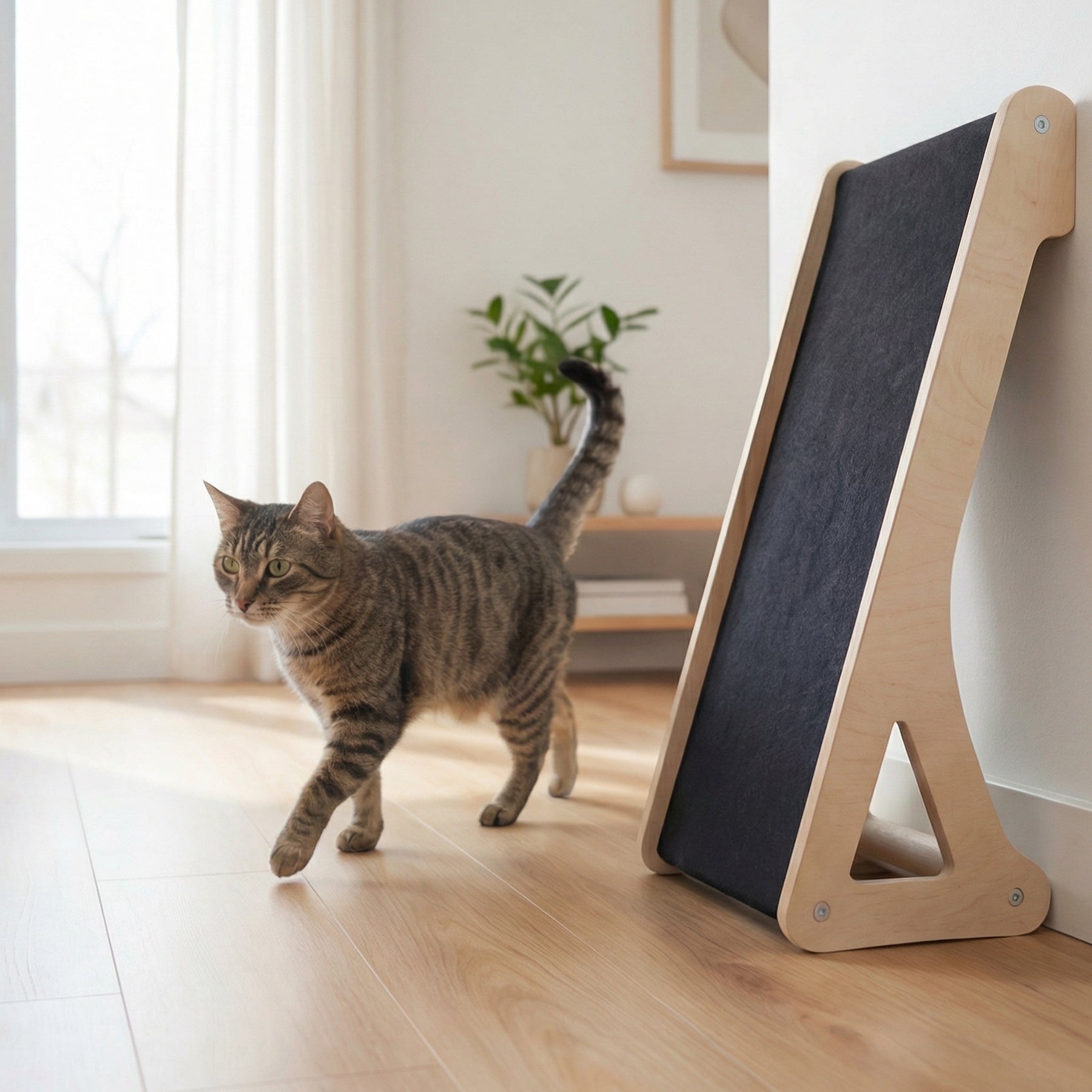 Cat walking on a wooden floor next to a modern cat tree.