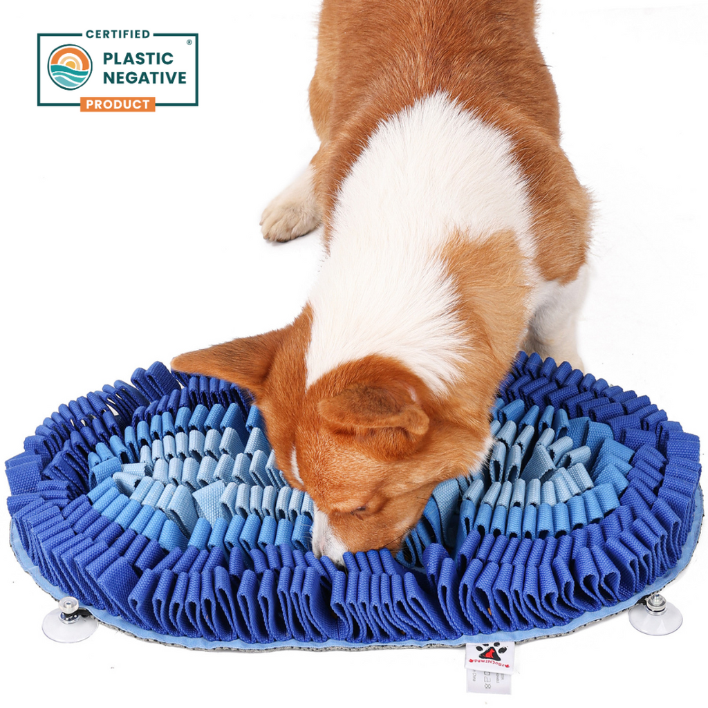 Dog playing with a blue circular mat on a white background, with a 'Plastic Negative' product certification logo.