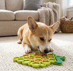 Dog interacting with a green pet lick mat on a carpeted floor.