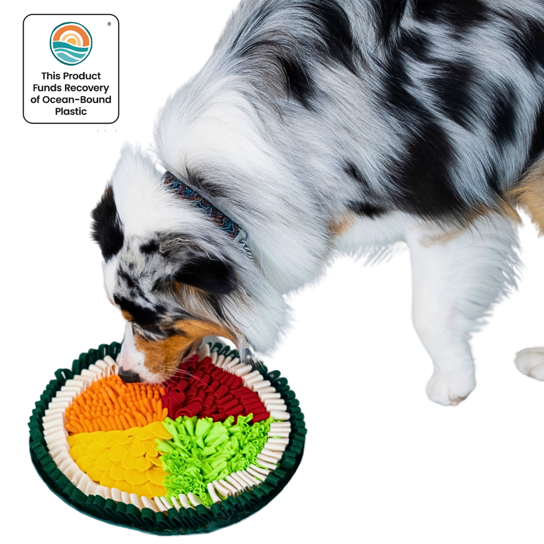 Dog playing with a colorful snuffle mat shaped like a sushi