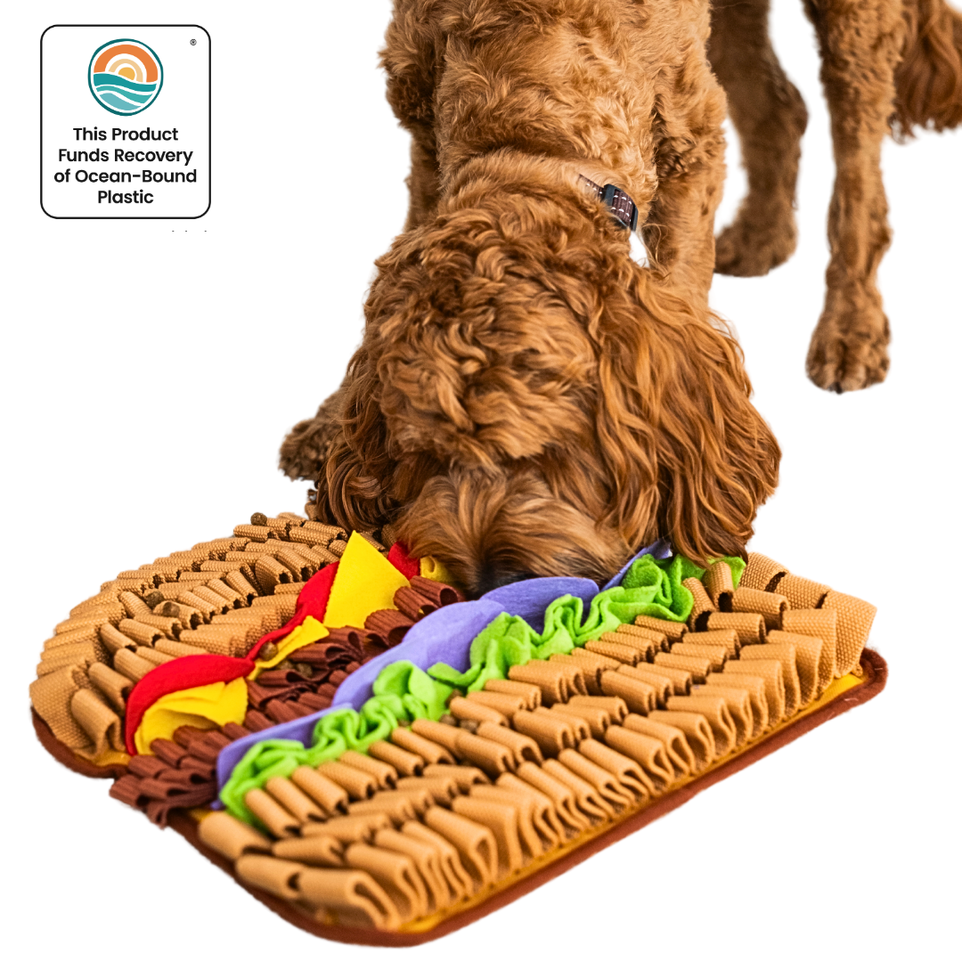 Dog stepping on a colorful snuffle mat shaped like a hot dog with a white background.