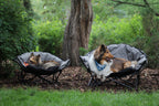 Two dogs relax in gray camping chairs outdoors on a grassy lawn with trees and shrubs in the background.