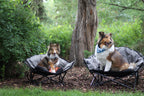 Two dogs sitting in outdoor camping chairs on a wooded lawn, with green foliage and trees in the background.