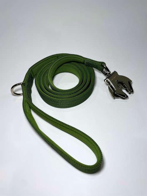 Green dog leash with a metal clip on a white background
