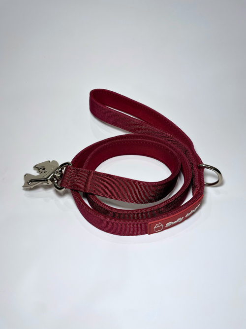 Red dog leash with metal clip on a white background