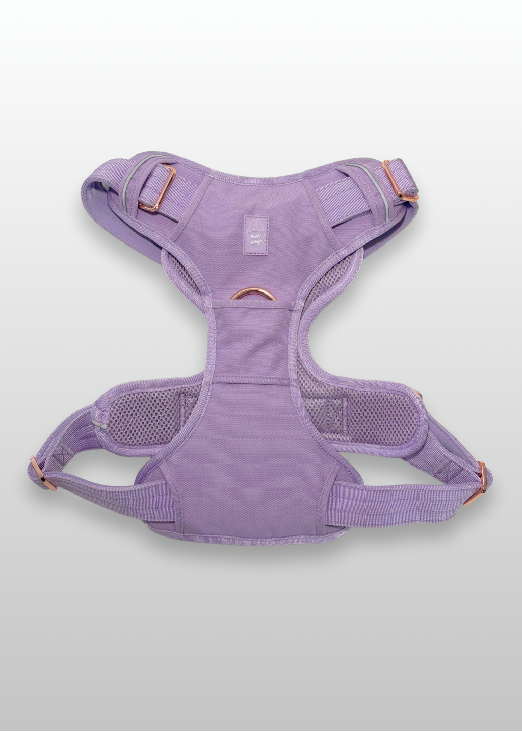 Lilac dog harness on a light gray background