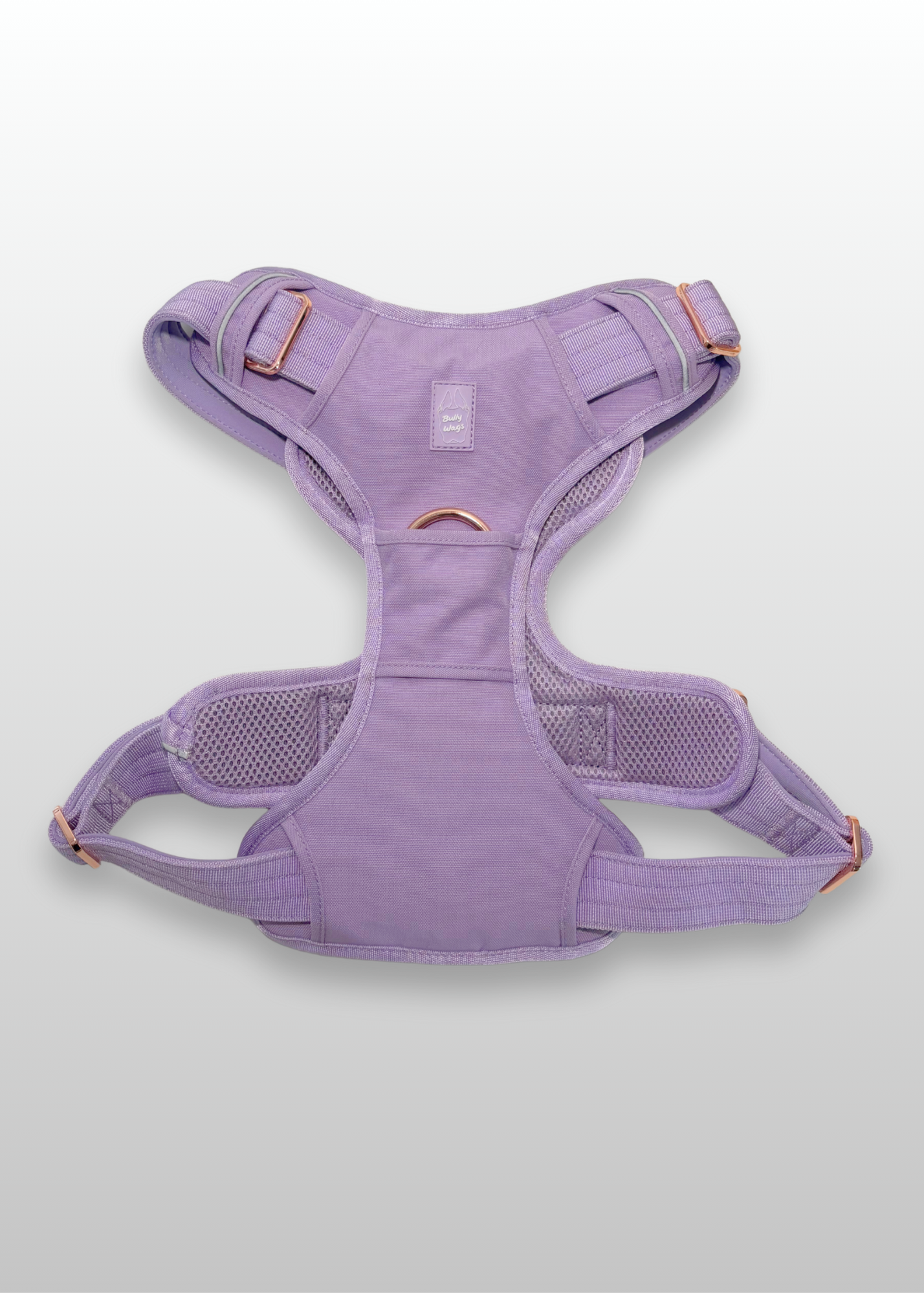 Lilac dog harness on a light gray background