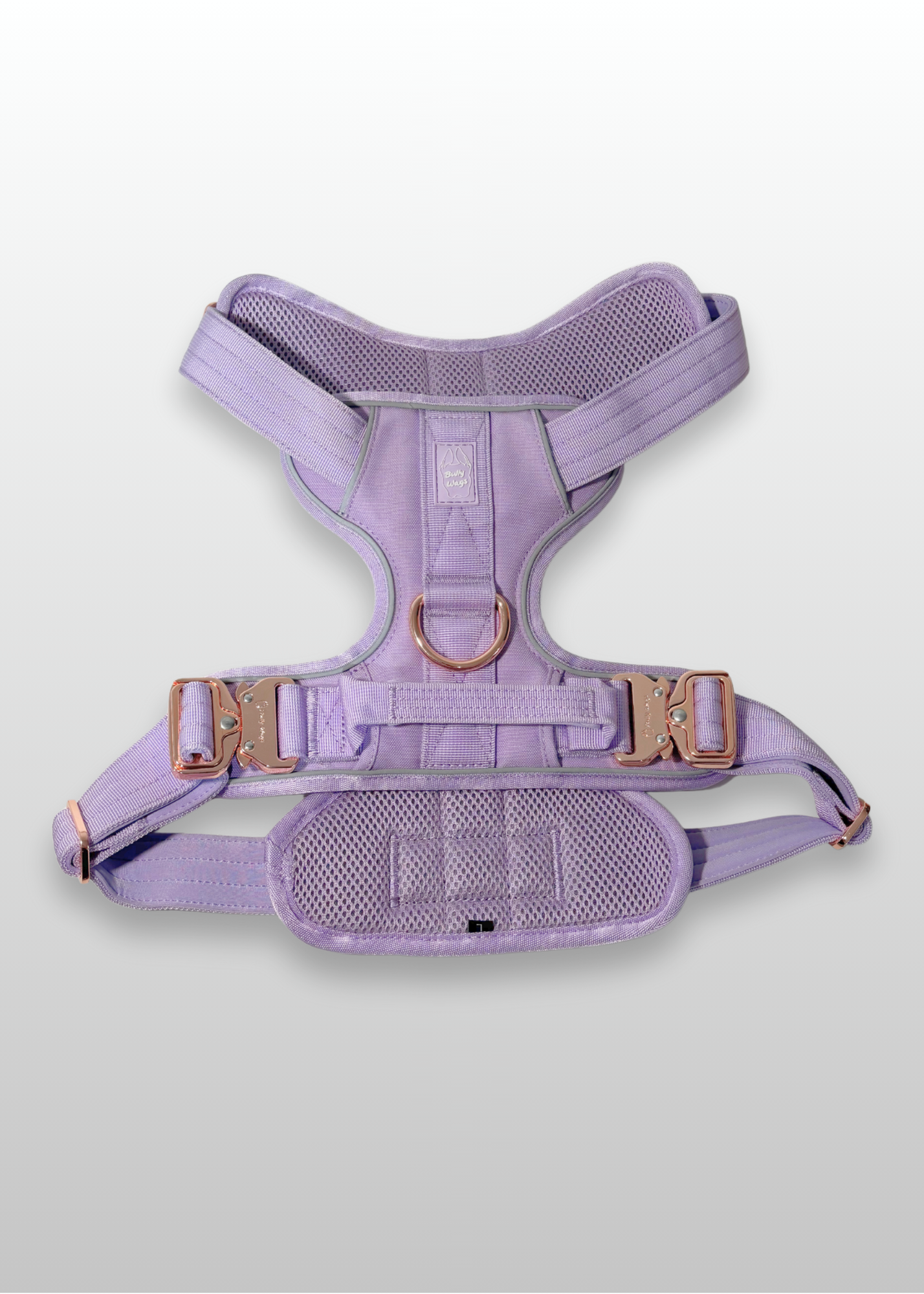 Lilac dog harness with gold hardware on a light gray background