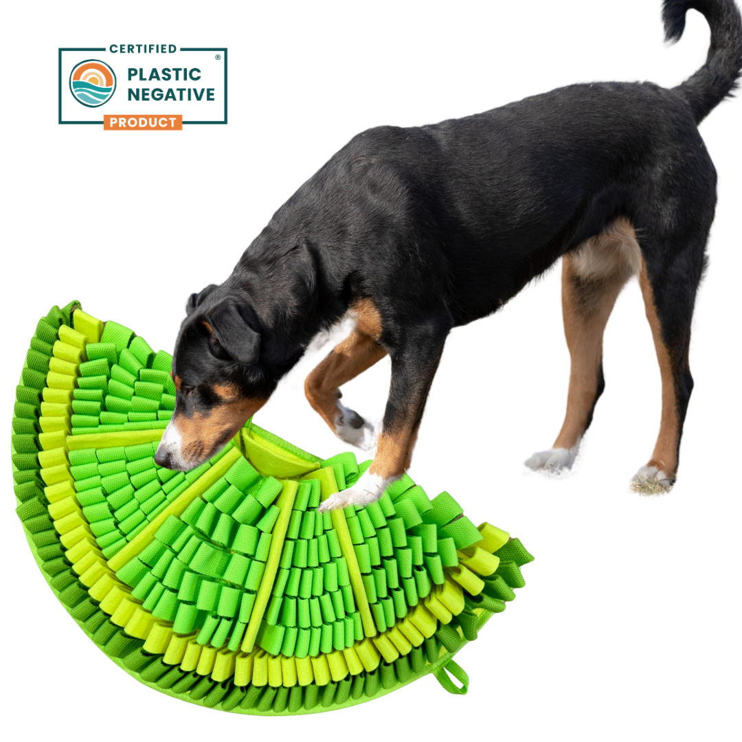 Dog playing with a green and yellow dog toy on a white background, with a 'Plastic Negative' product certification logo.